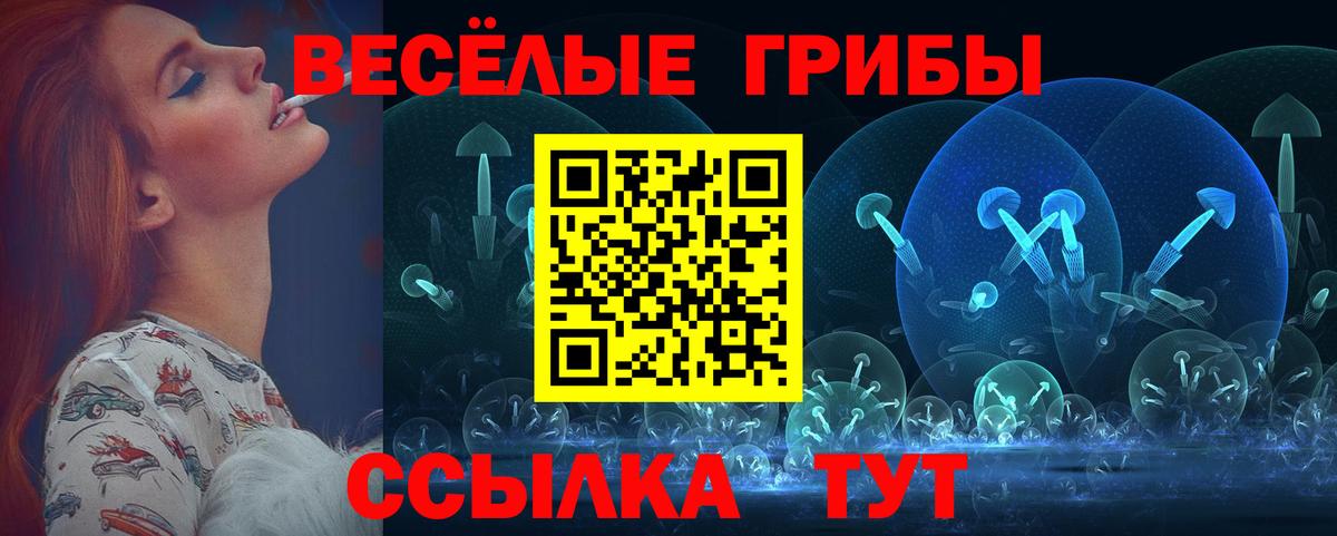 купить   Вход с VPN  Фурманов  Псилоцибиновые грибы Psilocybine cubensis 
