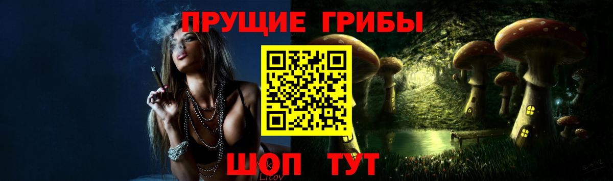 Псилоцибиновые грибы Psilocybe Фурманов